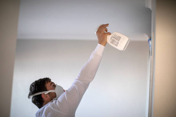 Home Mold Removal in Kimberly, ID